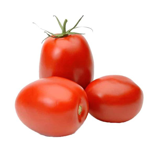 TOMATE ITALIANO