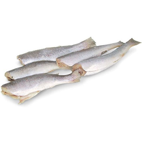 PESCADA EVISCERADA KG