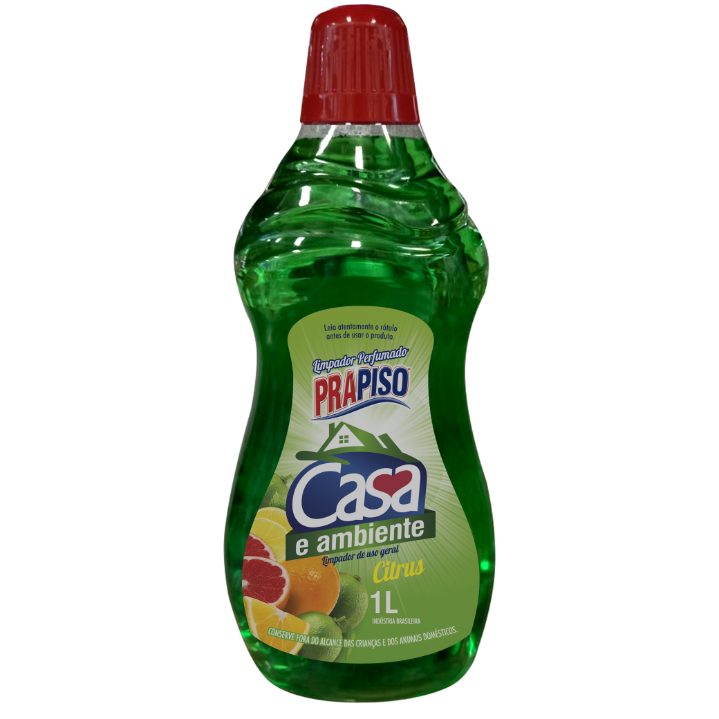 LIMPADOR CASA & AMBIENTE CITRUS 1,0 L