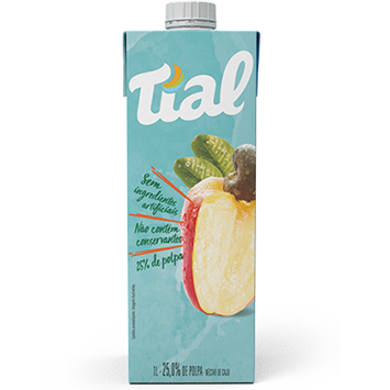 NECTAR TIAL CAJU 1L