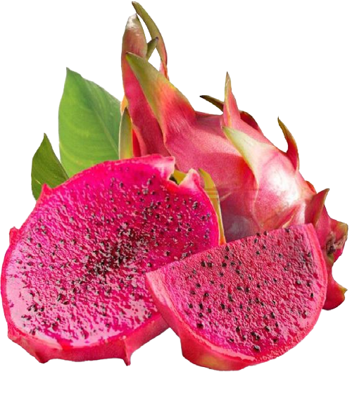 PITAYA VERMELHA KG