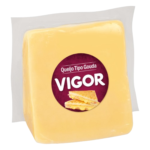 QUEIJO GOUDA VIGOR 200G