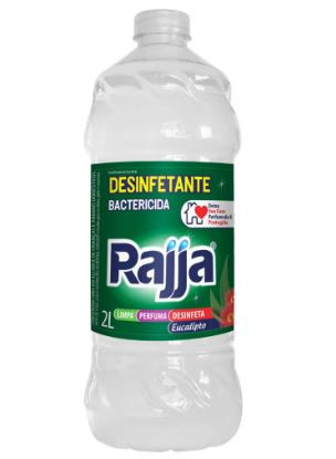 DESINFETANTE RAJJA EUCALIPTO 2LITROS