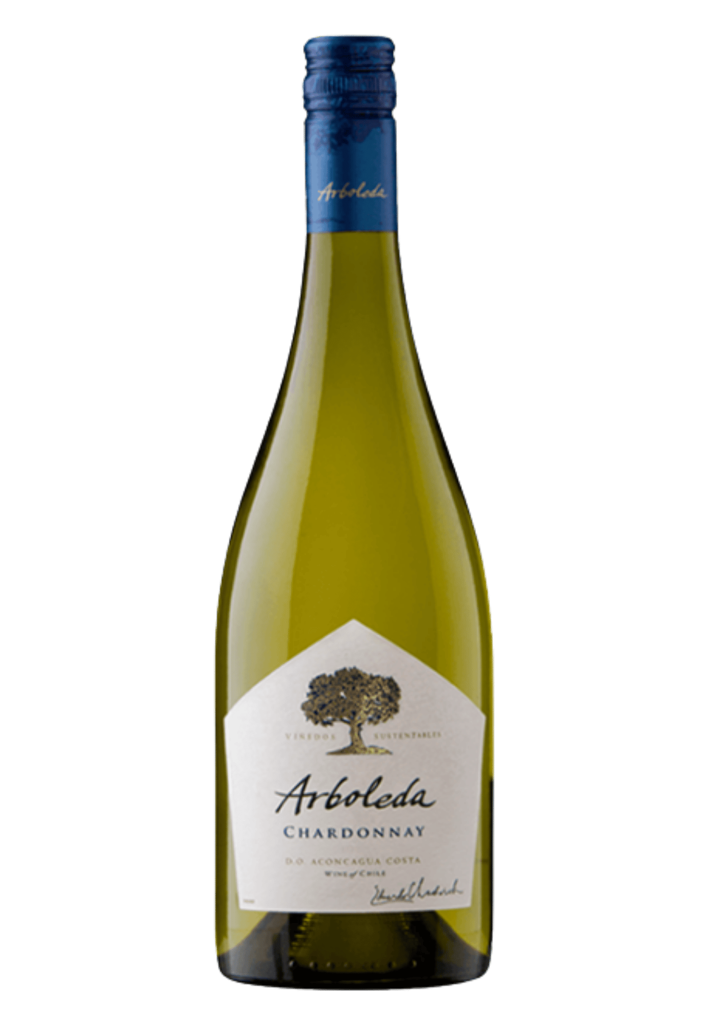 VINHO BCO CHARD 750ML ARBOLEDA