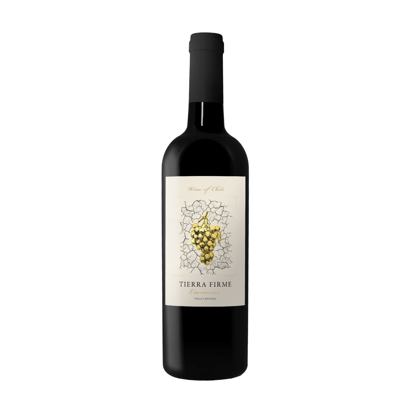 VINHO TTO CARMENERE 750ML TIERRA FIRME