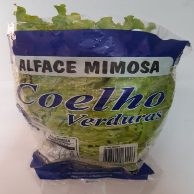 ALFACE MIMOSA UN COELHO VERDURAS
