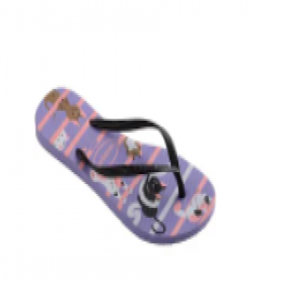 HAVAIANAS SLIM PETS 37/38