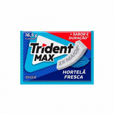 TRIDENT MAX HORTELÃ 16,5G