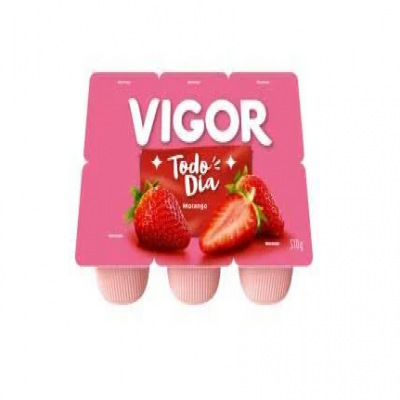 BEBIDA LÁCTEA VIGOR POLPA MORANGO 510G