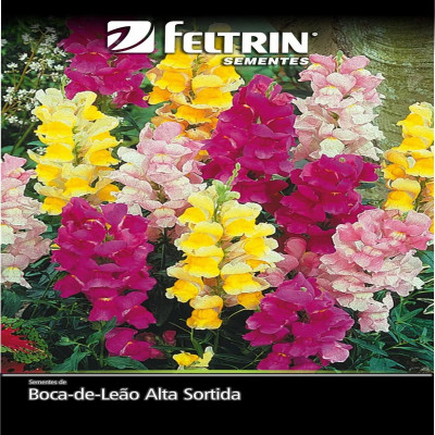 SEMENTES FELTRIN FLOR BOCA DE LEÃO 3G