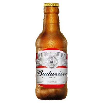 CERVEJA BUDWEISER 300ML RETORNAVEL