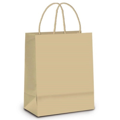 SACOLA KRAFT NATURAL 23,5X17X34CM 10UN