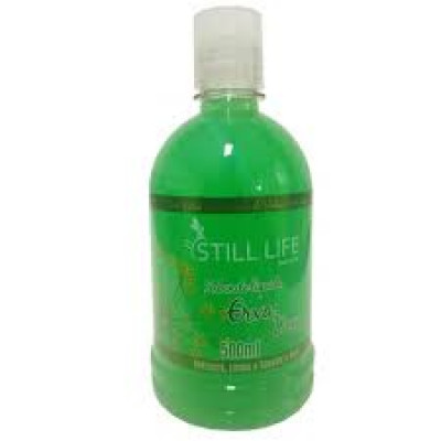 SABONETE LIQUIDO STILL LIFE ERVA DOCE 500ML