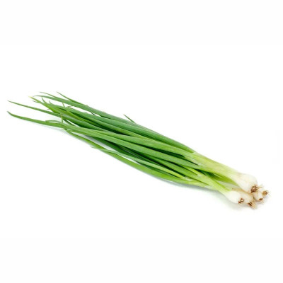 CEBOLINHA TSUMURA MACO UN