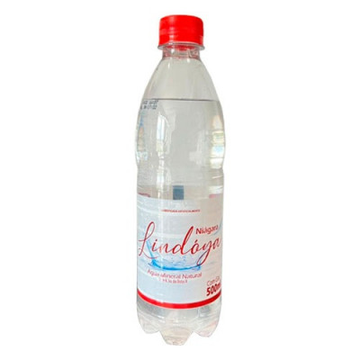 AGUA MINERAL NIAGARA COM GAS 500ML