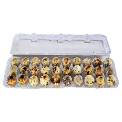 OVOS DE CODORNA PANHOSSI COM 30UND