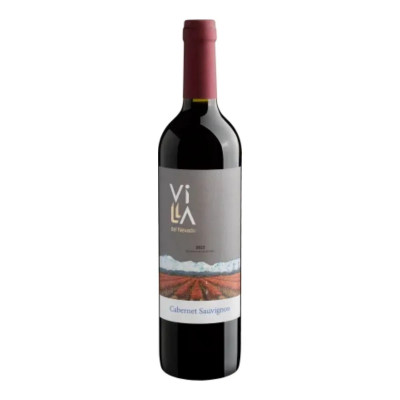 VINHO ARGENTINO VILLA DEL NEVADO CABERNET SAUVIGNON 750ML