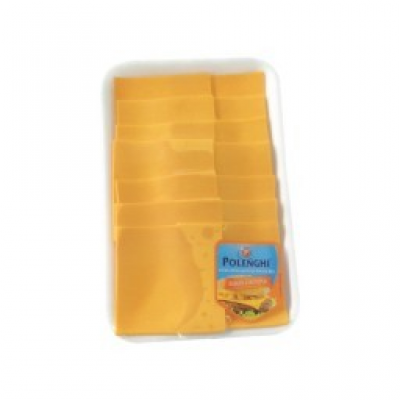 QUEIJO CHEDDAR POLENGUINHO 100 GRAMAS