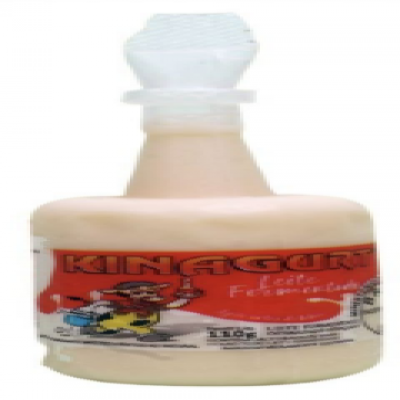 LEITE FERMENTADO KINAGURT 110G