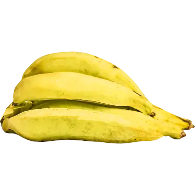 BANANA TERRA PACOTE 600G