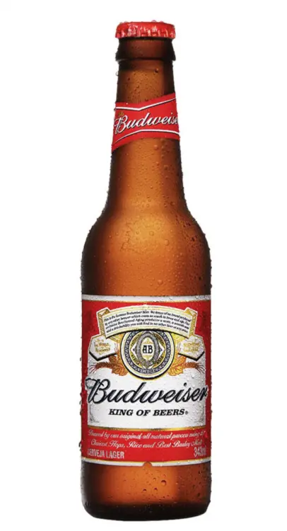 CERVEJA BUDWEISER PILSEN LONG NECK 343ML