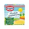 GELATINA DR. OETKER MINHA GELATINA ABACAXI 75 G