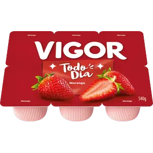 IOGURTE VIGOR MORANGO 540G