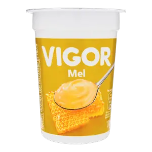 IOGURTE VIGOR MEL 170G