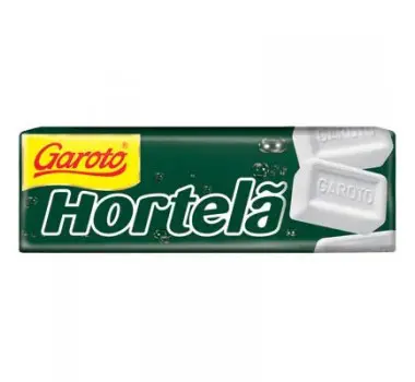 PASTILHA GAROTO HORTELÃ 17G