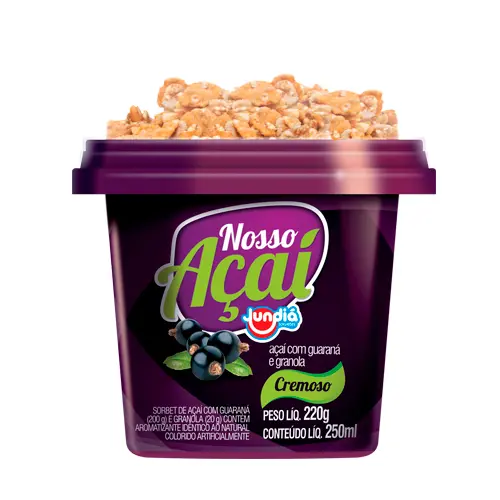 AÇAÍ JUNDIÁ GUARANÁ E GRANOLA 250 ML