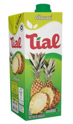 SUCO TIAL ABACAXI 1L