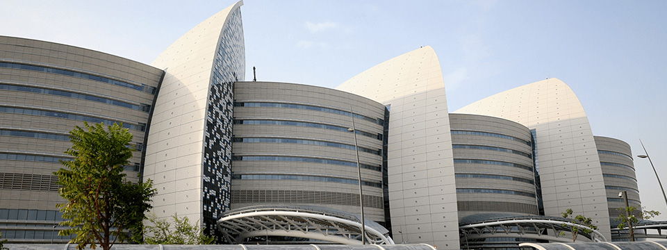 Procurement and Contracts