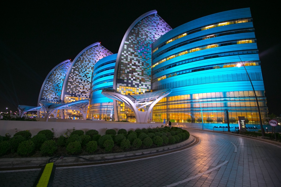 Sidra Medicine to Virtually Host Functional Genomics Symposium