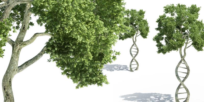 Sidra Medicine Symposium “Functional Genomics and Beyond”