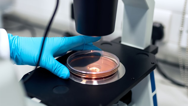 Advanced Cell Therapy Core