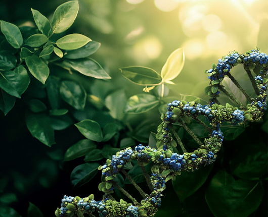 Precision Medicine and Functional Genomics (PMFG)