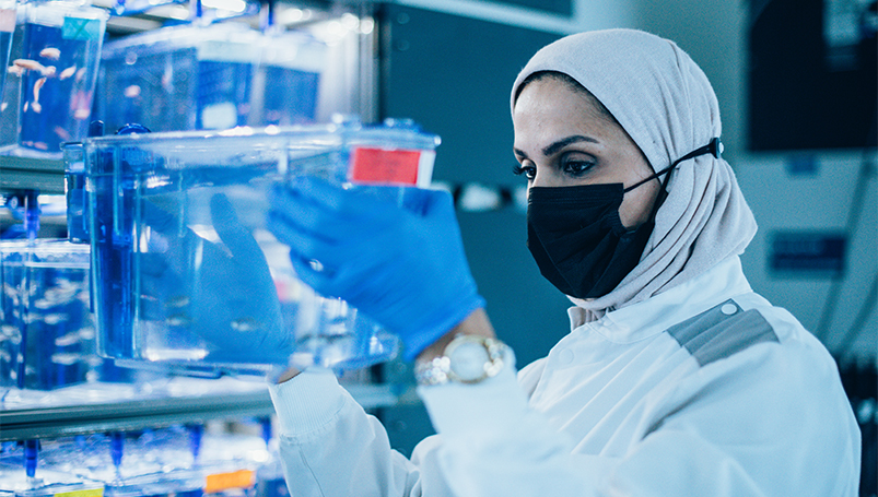 Zebrafish Functional Genomics Core