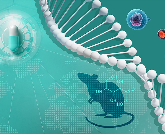 Disease Modeling and Therapeutics (DMT)