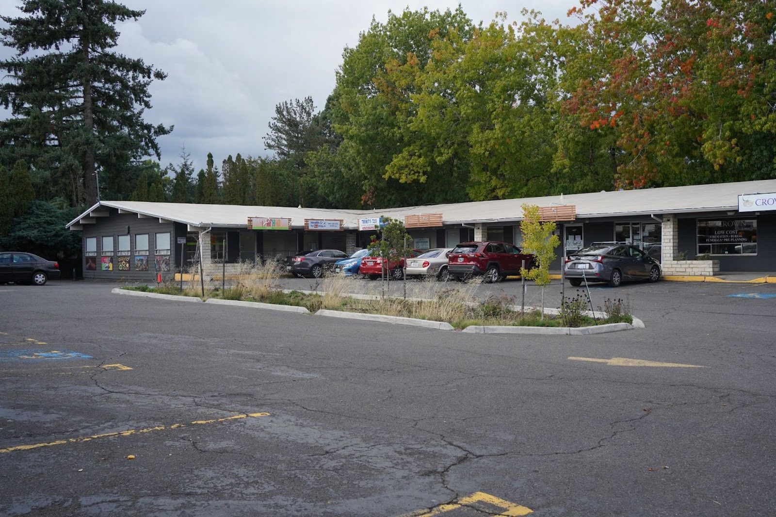Photograph of a low-rise strip mall in the background of a large parking lot.