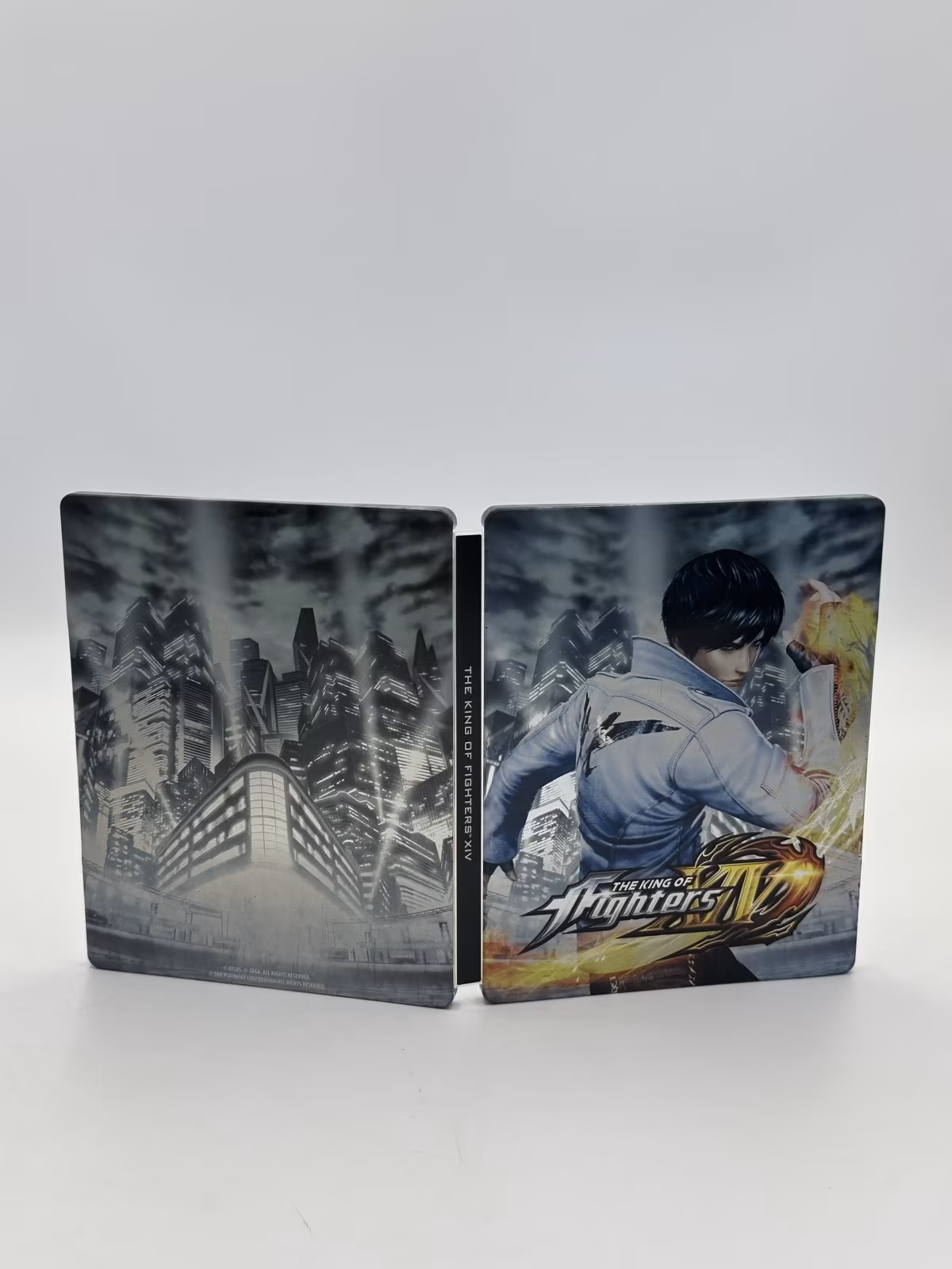 The King of Fighters XIV Burn to Fight Premium Edition, PS4, foto real 5 de 7