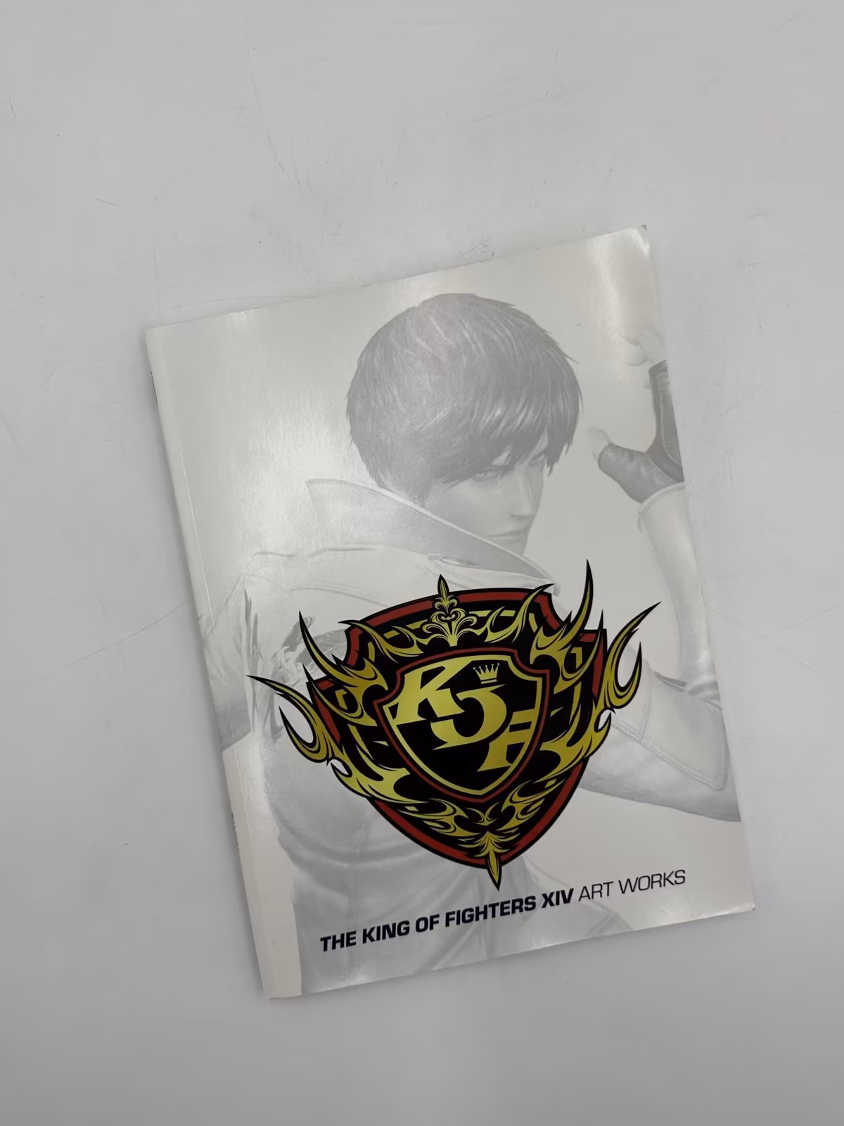 The King of Fighters XIV Burn to Fight Premium Edition, PS4, foto real 3 de 7