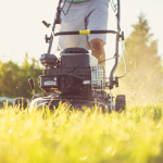 portada del articulo (5).png