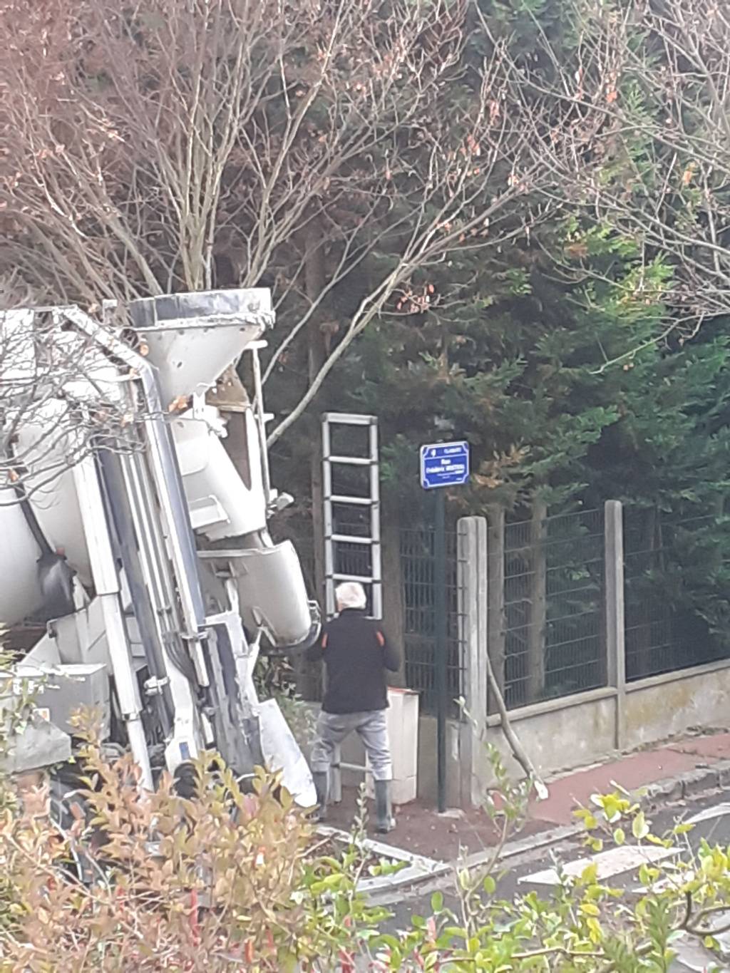 Élagage abusif arbre espace public.