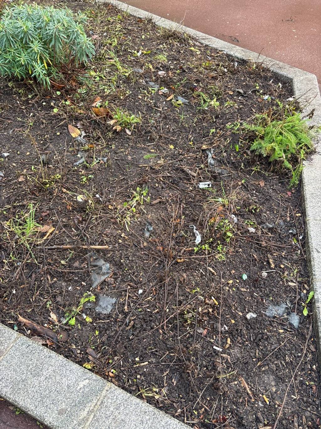 Photo 3 - Espaces verts abandonnés et déchets