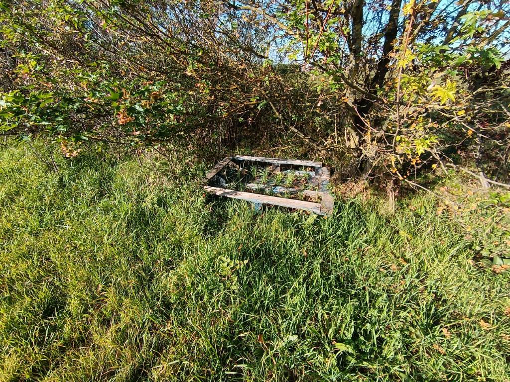 Photo 4 - Dépôt sauvage près de l'allée piétons
