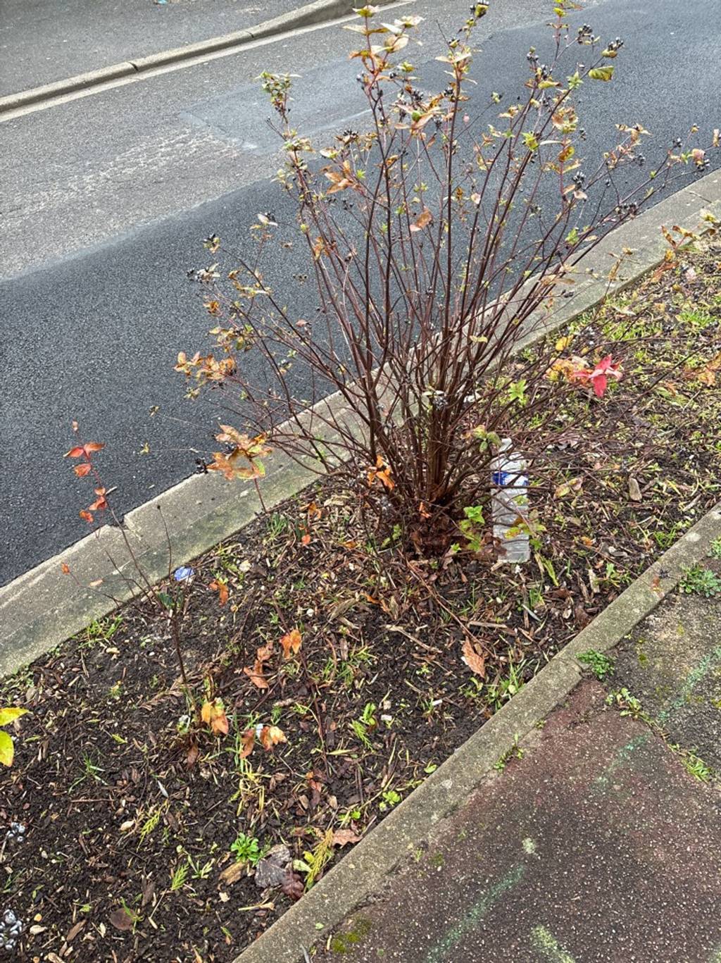 Photo 3 - Rue sale et déchets sur trottoirs
