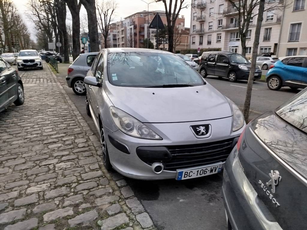Photo 3 - Stationnement gênant prolongé en épi