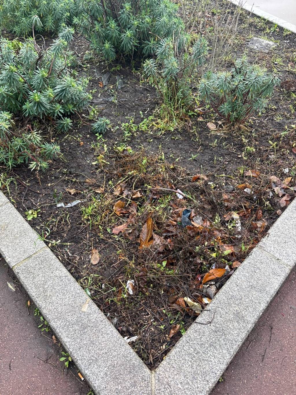 Photo 2 - Espaces verts abandonnés et déchets