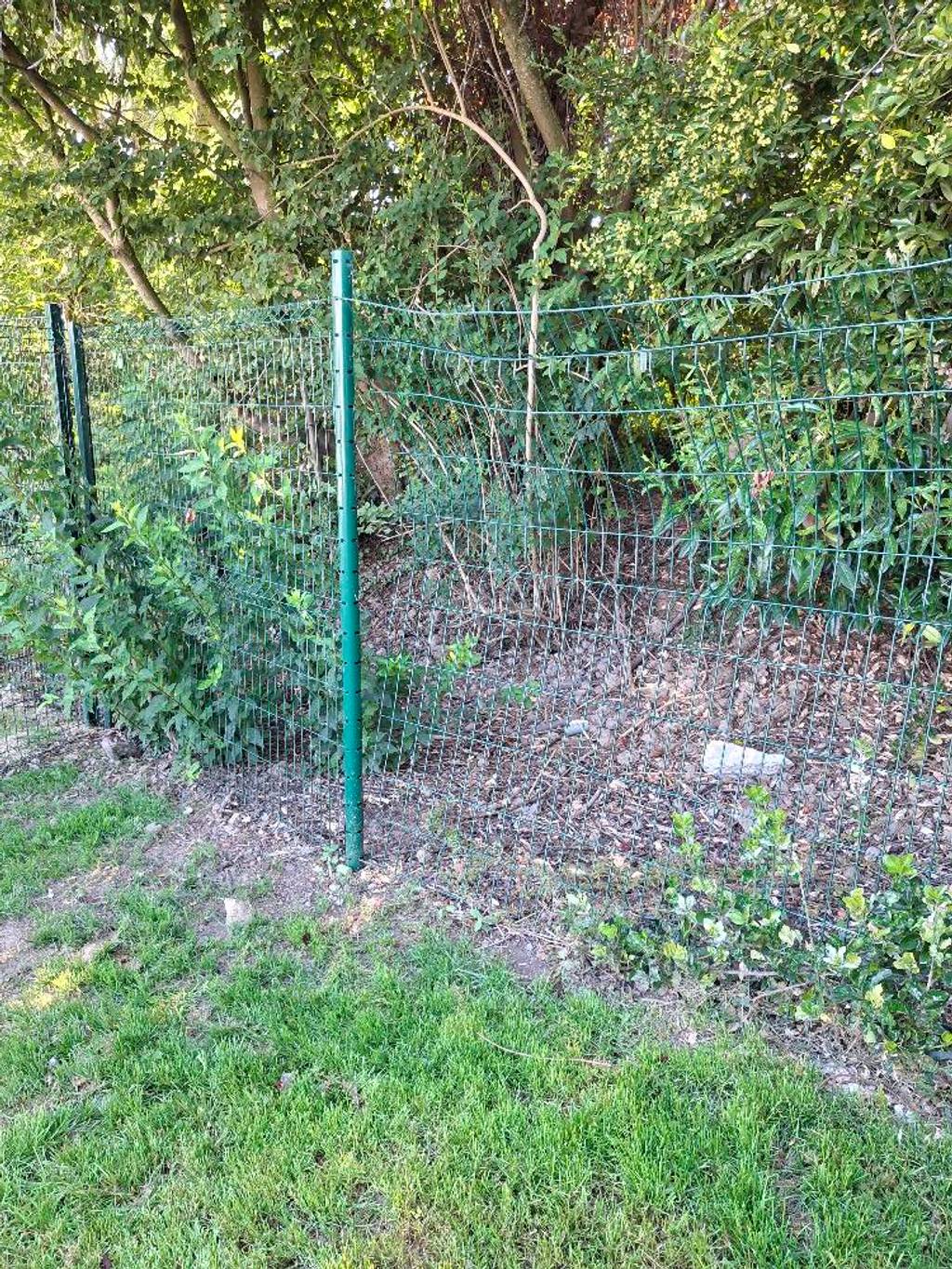 Grillage forcée à l'aire de jeu canine