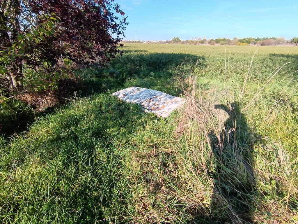 Photo 3 - Dépôt sauvage près de l'allée piétons